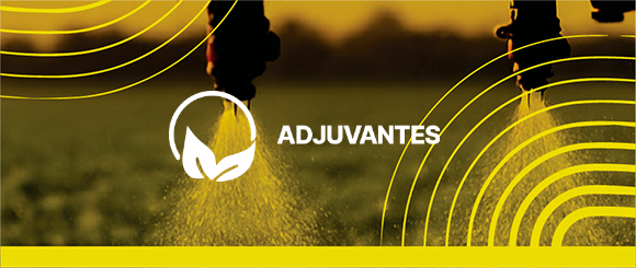 adjuvantes