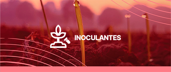 inoculantes