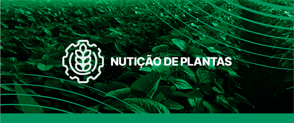 nutrição
