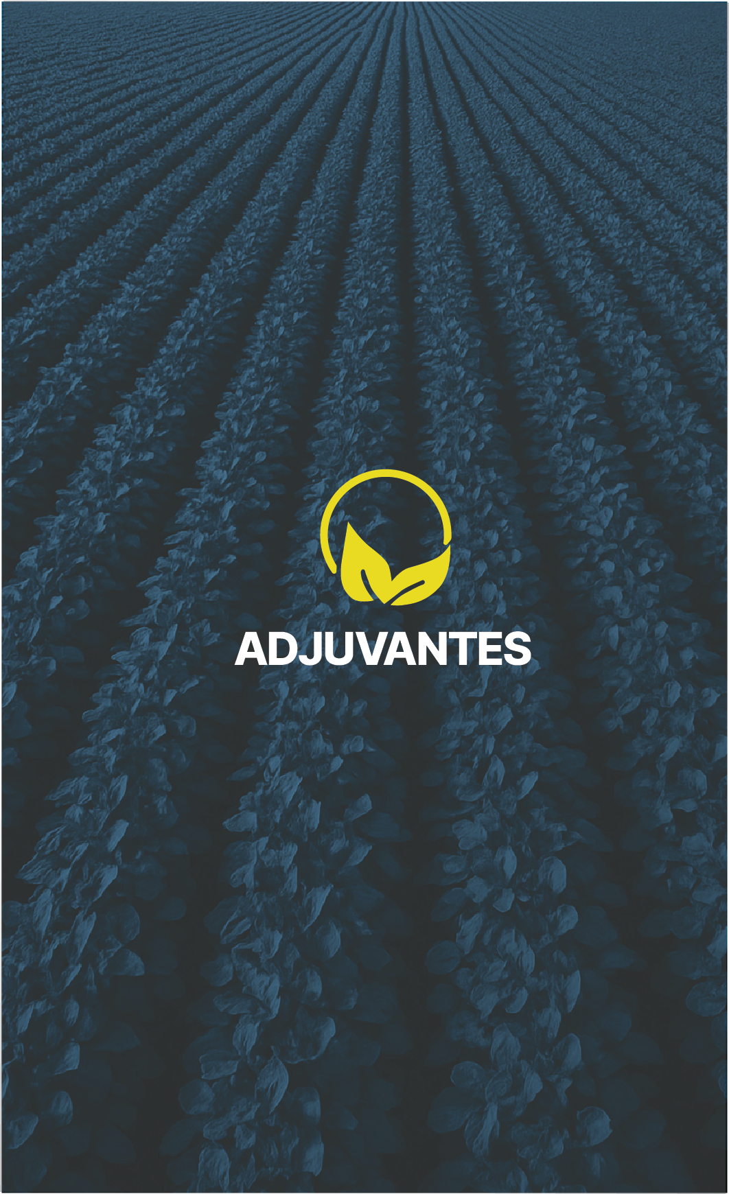Ativo 21@