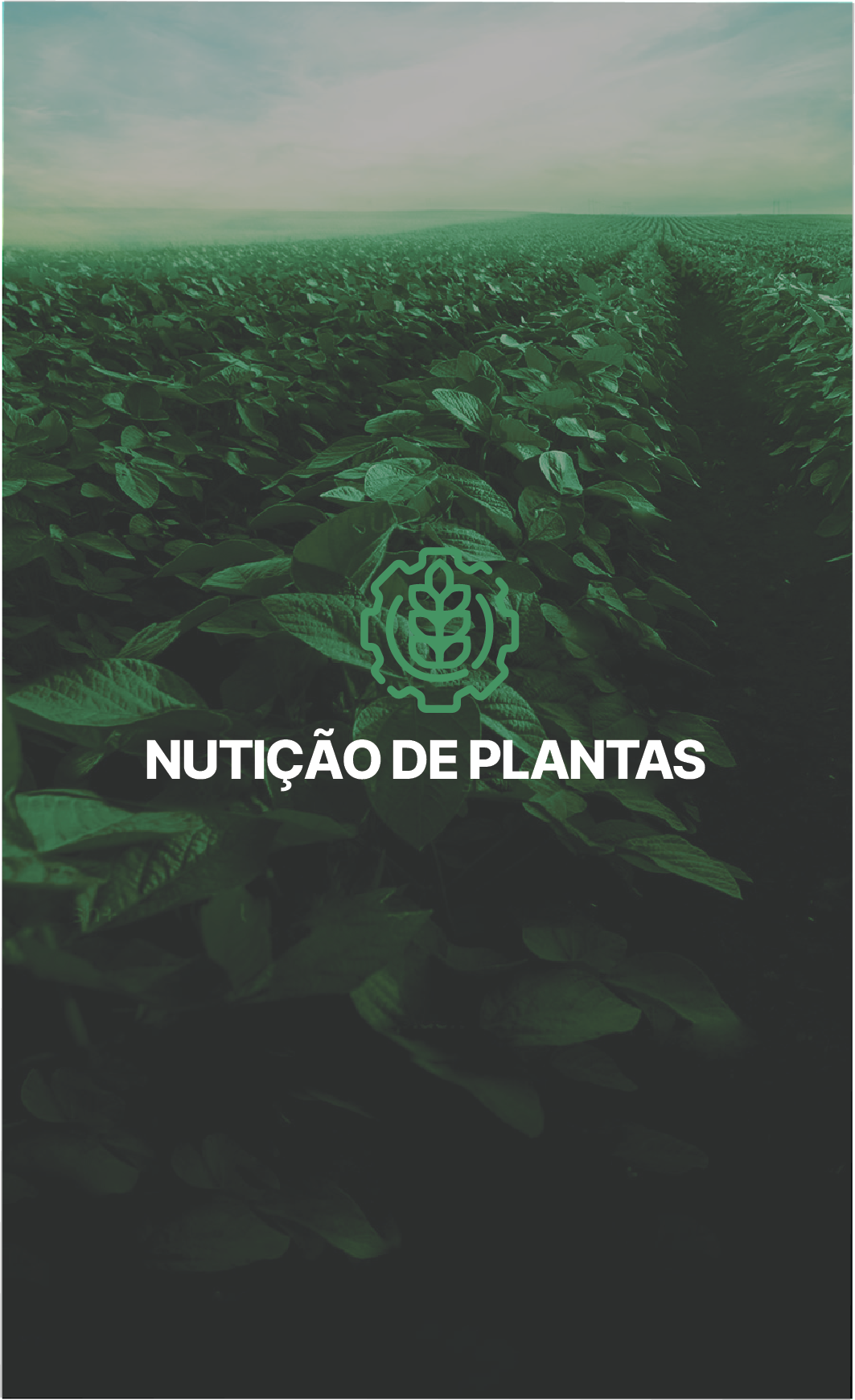Ativo 23@